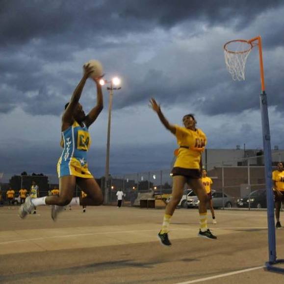 Meet your Posher, Chekirah - Picture 1 of 1